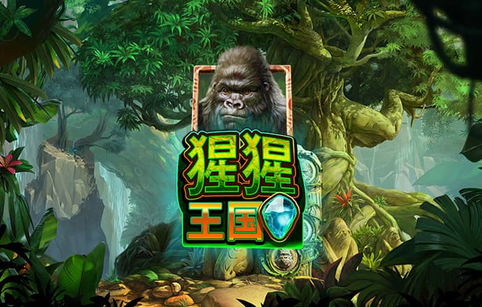 ob体育平台登录